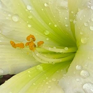 Meet your Posher, Jill